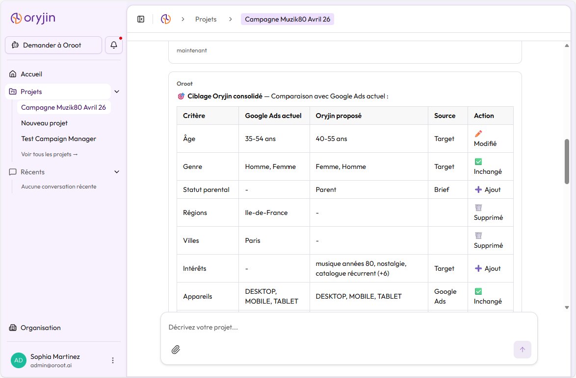Ciblage de la campagne Google Ads
